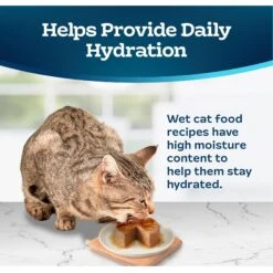 Blue Buffalo Tastefuls Ocean Fish & Tuna Entrée Pate Wet Cat Food 14 Blue Buffalo Tastefuls Ocean Fish & Tuna Entrée Pate Wet Cat Food -Blue Buffalo 264543 PT6. AC SS1800 V1630732943