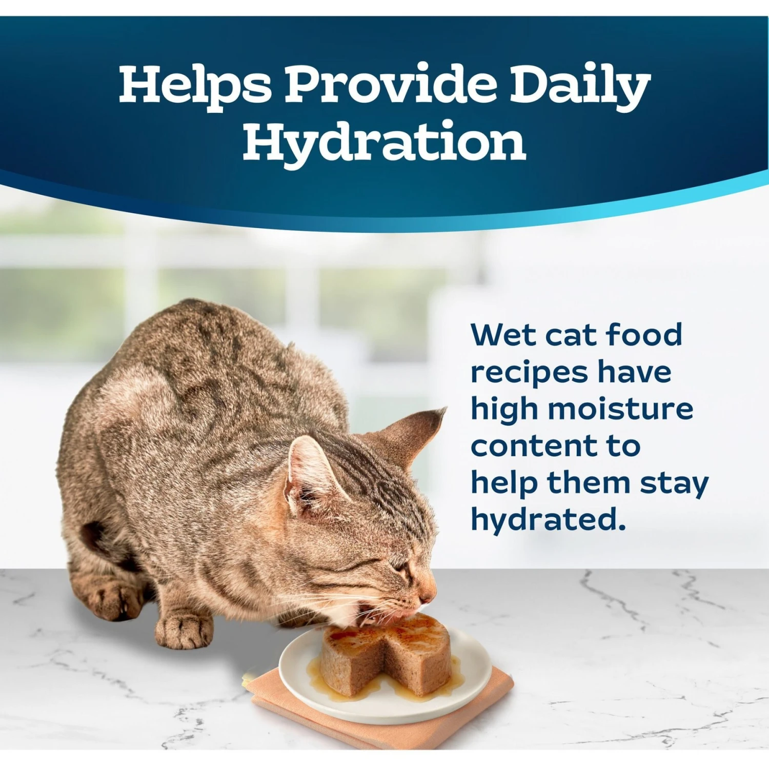 Blue Buffalo Tastefuls Ocean Fish & Tuna Entrée Pate Wet Cat Food 7 Blue Buffalo Tastefuls Ocean Fish & Tuna Entrée Pate Wet Cat Food - Image 7