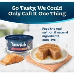 Blue Buffalo Tastefuls Salmon Entrée Pate Wet Cat Food -Blue Buffalo 264546 PT2. AC SS1800 V1630737118