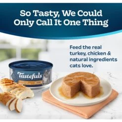 Blue Buffalo Tastefuls Turkey & Chicken Entrée Pate Wet Cat Food -Blue Buffalo 264549 PT2. AC SS1800 V1631682189