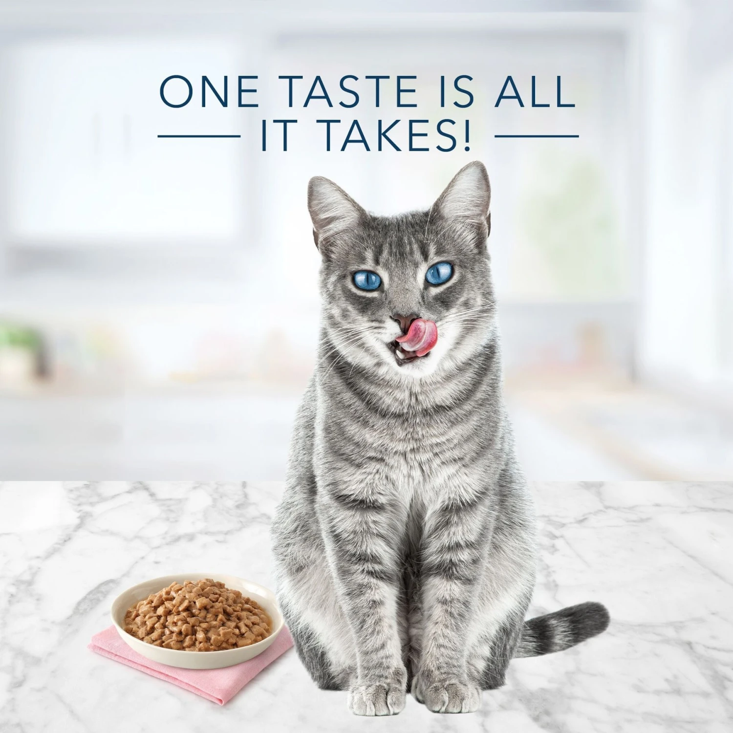 Blue Buffalo Tastefuls Tender Morsels Chicken Entrée Wet Cat Food 3 Blue Buffalo Tastefuls Tender Morsels Chicken Entrée Wet Cat Food - Image 3