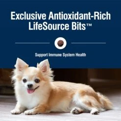 Blue Buffalo True Solutions Small & Mighty Small Breed Formula Adult Dry Dog Food 14 Blue Buffalo True Solutions Small & Mighty Small Breed Formula Adult Dry Dog Food -Blue Buffalo 264565 PT6. AC SS1800 V1696449381