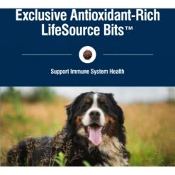 Blue Buffalo True Solutions Livin' Large Large Breed Formula Adult Dry Dog Food -Blue Buffalo 264574 PT6. AC SS1800 V1696449326
