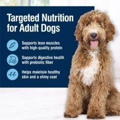 Blue Buffalo True Solutions Best Life Wholesome Grains Medium Breed Adult Wet Dog Food, 12.5-oz Can, Case Of 12 10 Blue Buffalo True Solutions Best Life Wholesome Grains Medium Breed Adult Wet Dog Food, 12.5-oz Can, Case Of 12 -Blue Buffalo 272986 PT2. AC SS1800 V1628181989