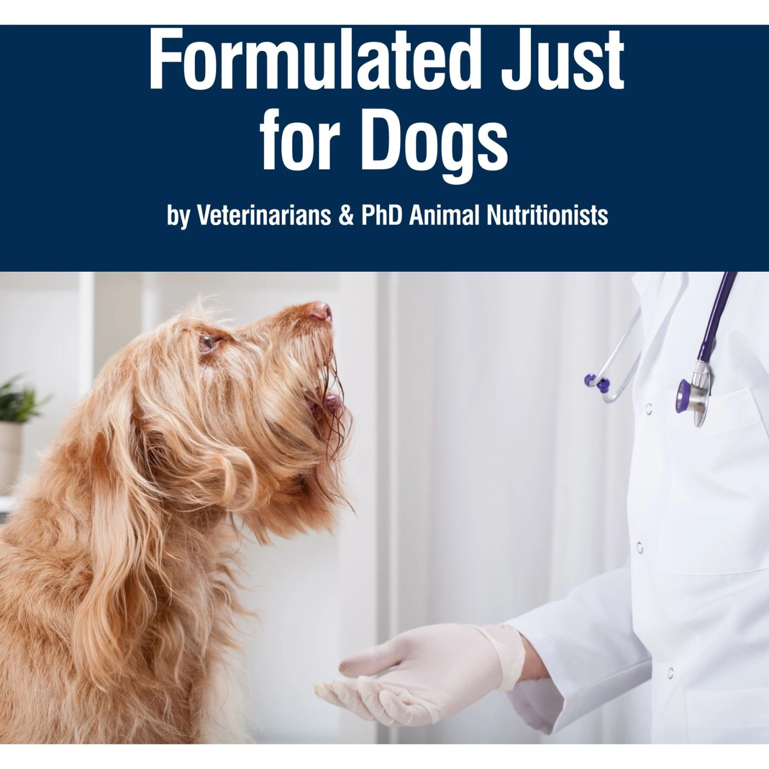 Blue Buffalo True Solutions Best Life Wholesome Grains Medium Breed Adult Wet Dog Food, 12.5-oz Can, Case Of 12 7 Blue Buffalo True Solutions Best Life Wholesome Grains Medium Breed Adult Wet Dog Food, 12.5-oz Can, Case Of 12 - Image 7