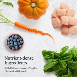 American Journey Chicken Recipe Grain-Free Dry Cat Food & Blue Buffalo Wilderness Chicken Recipe Grain-Free Dry Cat Food 13 American Journey Chicken Recipe Grain-Free Dry Cat Food & Blue Buffalo Wilderness Chicken Recipe Grain-Free Dry Cat Food -Blue Buffalo 292598 PT4. AC SS1800 V1666839386