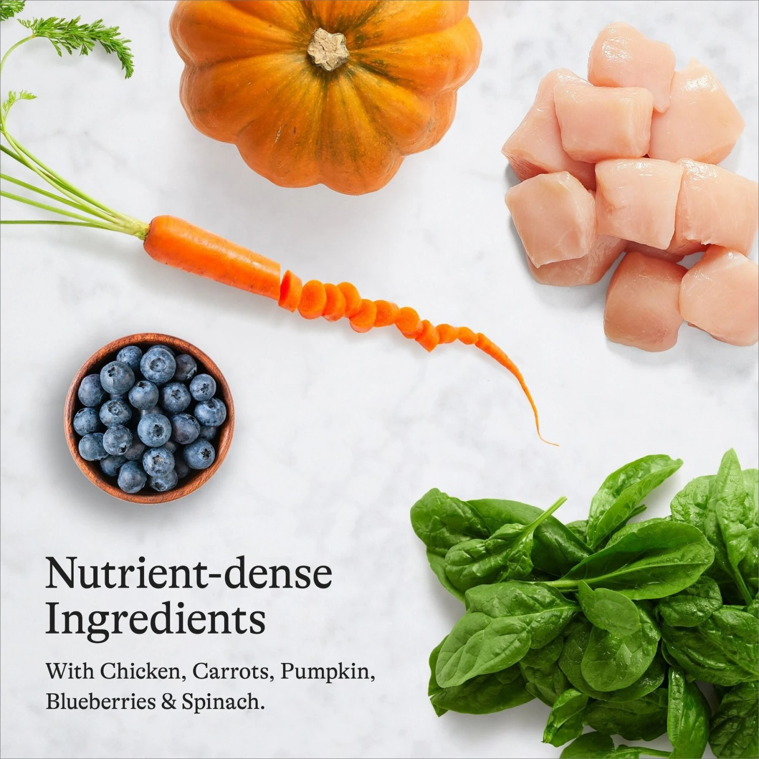 American Journey Chicken Recipe Grain-Free Dry Cat Food & Blue Buffalo Wilderness Chicken Recipe Grain-Free Dry Cat Food 5 American Journey Chicken Recipe Grain-Free Dry Cat Food & Blue Buffalo Wilderness Chicken Recipe Grain-Free Dry Cat Food - Image 5