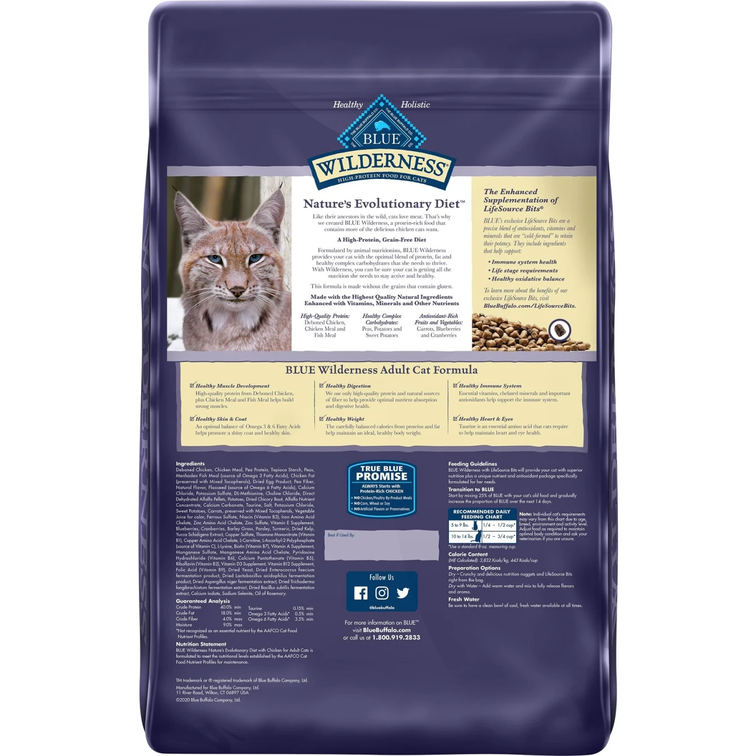 American Journey Chicken Recipe Grain-Free Dry Cat Food & Blue Buffalo Wilderness Chicken Recipe Grain-Free Dry Cat Food 7 American Journey Chicken Recipe Grain-Free Dry Cat Food & Blue Buffalo Wilderness Chicken Recipe Grain-Free Dry Cat Food - Image 7
