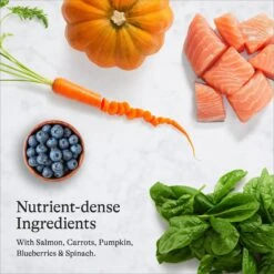 American Journey Salmon Recipe Grain-Free Dry Cat Food & Blue Buffalo Wilderness Salmon Recipe Grain-Free Dry Cat Food 12 American Journey Salmon Recipe Grain-Free Dry Cat Food & Blue Buffalo Wilderness Salmon Recipe Grain-Free Dry Cat Food -Blue Buffalo 292626 PT3. AC SS1800 V1666839489
