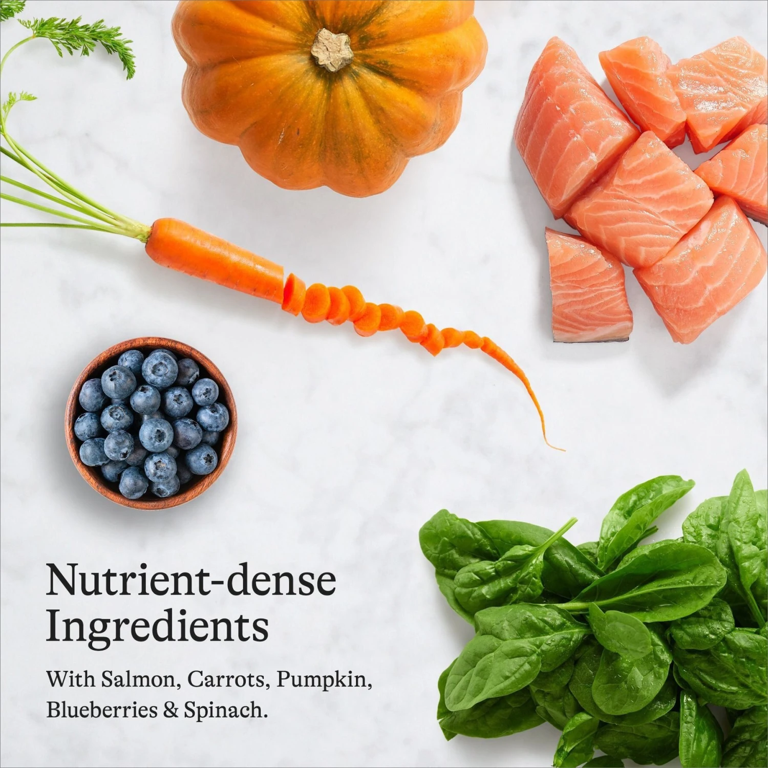 American Journey Salmon Recipe Grain-Free Dry Cat Food & Blue Buffalo Wilderness Salmon Recipe Grain-Free Dry Cat Food 4 American Journey Salmon Recipe Grain-Free Dry Cat Food & Blue Buffalo Wilderness Salmon Recipe Grain-Free Dry Cat Food - Image 4