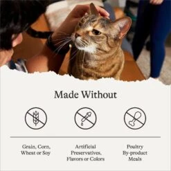 American Journey Salmon Recipe Grain-Free Dry Cat Food & Blue Buffalo Wilderness Salmon Recipe Grain-Free Dry Cat Food 13 American Journey Salmon Recipe Grain-Free Dry Cat Food & Blue Buffalo Wilderness Salmon Recipe Grain-Free Dry Cat Food -Blue Buffalo 292626 PT4. AC SS1800 V1666839427