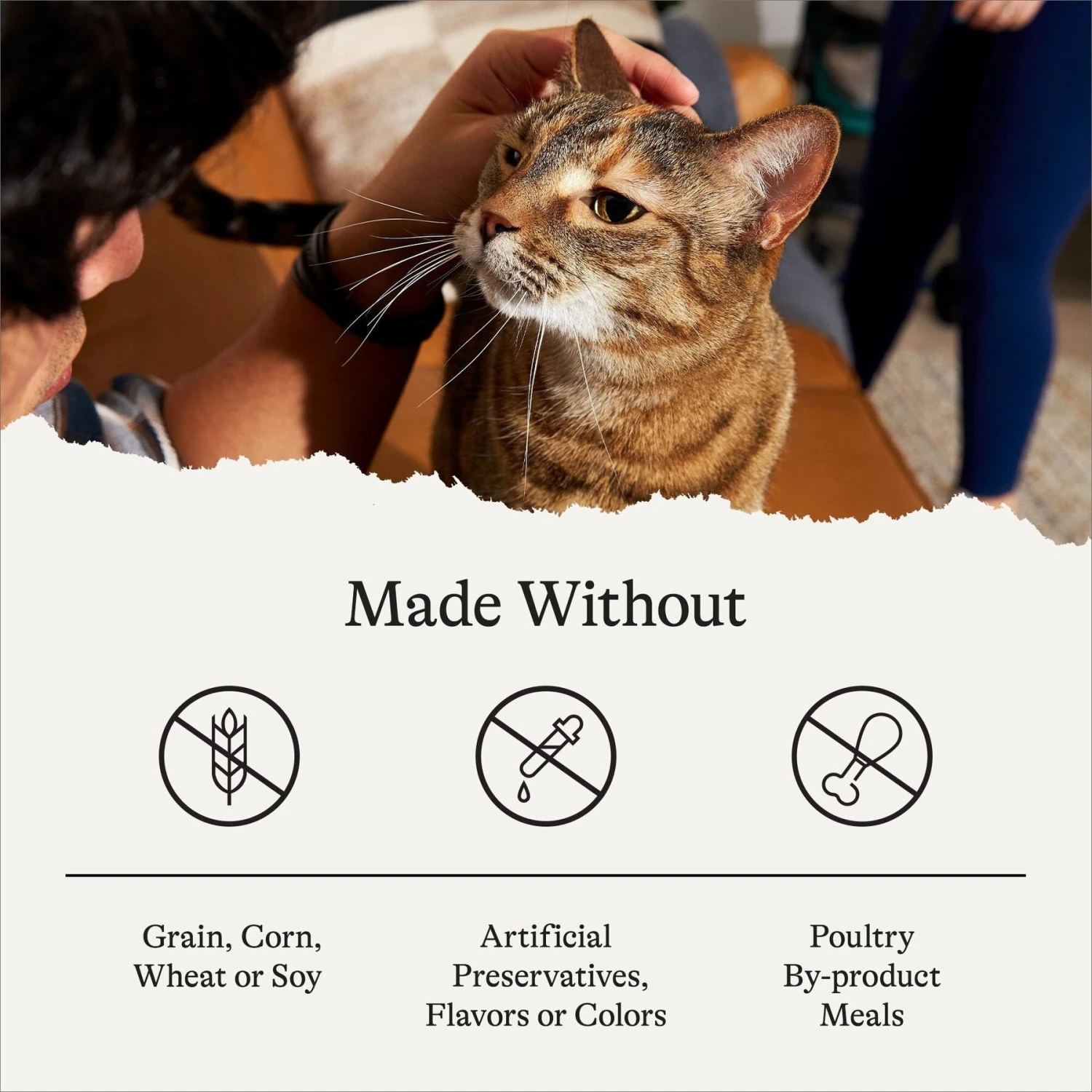 American Journey Salmon Recipe Grain-Free Dry Cat Food & Blue Buffalo Wilderness Salmon Recipe Grain-Free Dry Cat Food 5 American Journey Salmon Recipe Grain-Free Dry Cat Food & Blue Buffalo Wilderness Salmon Recipe Grain-Free Dry Cat Food - Image 5