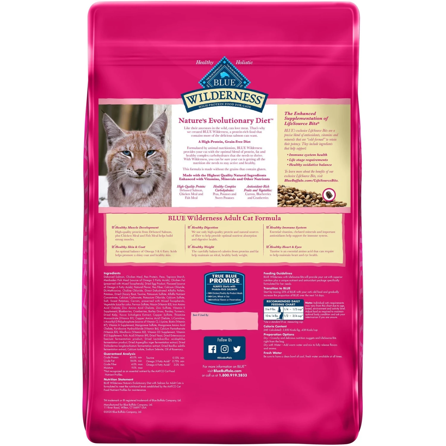 American Journey Salmon Recipe Grain-Free Dry Cat Food & Blue Buffalo Wilderness Salmon Recipe Grain-Free Dry Cat Food 7 American Journey Salmon Recipe Grain-Free Dry Cat Food & Blue Buffalo Wilderness Salmon Recipe Grain-Free Dry Cat Food - Image 7