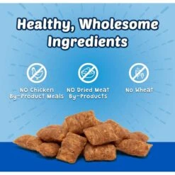 Blue Buffalo Wilderness Chicken Recipe Grain-Free Dry Cat Food & Blue Buffalo Bursts With Paw-Licken Chicken Cat Treats 13 Blue Buffalo Wilderness Chicken Recipe Grain-Free Dry Cat Food & Blue Buffalo Bursts With Paw-Licken Chicken Cat Treats -Blue Buffalo 292746 PT6. AC SS1800 V1619985126