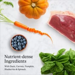 American Journey Duck Recipe Grain-Free Dry Cat Food & Blue Buffalo Wilderness Duck Recipe Grain-Free Dry Cat Food -Blue Buffalo 297692 PT4. AC SS1800 V1666839209