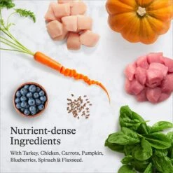 American Journey Turkey & Chicken Recipe Grain-Free Dry Cat Food & Blue Buffalo Wilderness Chicken Recipe Grain-Free Dry Cat Food 13 American Journey Turkey & Chicken Recipe Grain-Free Dry Cat Food & Blue Buffalo Wilderness Chicken Recipe Grain-Free Dry Cat Food -Blue Buffalo 297822 PT4. AC SS1800 V1694611530