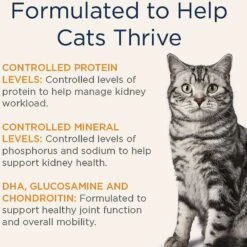 Blue Buffalo Natural Veterinary Diet K+M Kidney + Mobility Support Grain-Free Dry Cat Food & Blue Buffalo Natural Veterinary Diet K+M Kidney + Mobility Support Grain-Free Wet Cat Food -Blue Buffalo 297842 PT5. AC SS1800 V1621293169