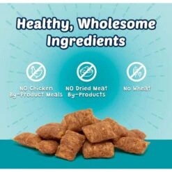 Blue Buffalo Wilderness Salmon Recipe Grain-Free Dry Cat Food & Blue Buffalo Bursts With Savory Seafood Cat Treats 13 Blue Buffalo Wilderness Salmon Recipe Grain-Free Dry Cat Food & Blue Buffalo Bursts With Savory Seafood Cat Treats -Blue Buffalo 297856 PT6. AC SS1800 V1621303656