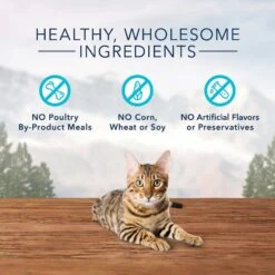 Blue Buffalo Wilderness High Protein Natural Grain-Free Chicken Mature Dry Cat Food & Blue Buffalo Wilderness Chicken Formula Crunchy Grain-Free Cat Treats -Blue Buffalo 338655 PT8. AC SS1800 V1635901145