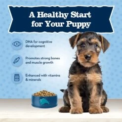 Blue Buffalo Baby Blue Healthy Growth Formula Natural Chicken & Brown Rice Recipe Puppy Dry Food -Blue Buffalo 354131 PT3. AC SS1800 V1704319768