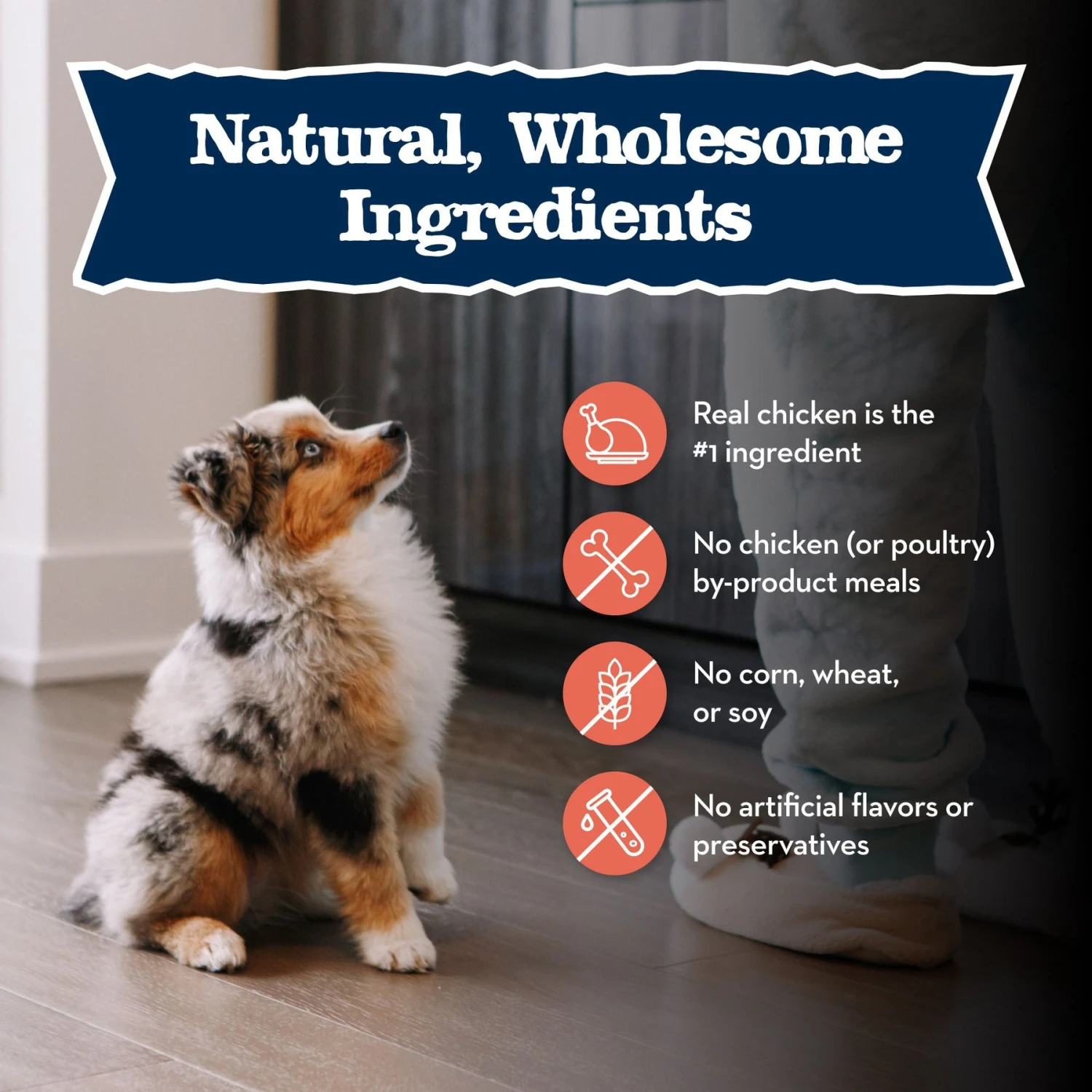 Blue Buffalo Baby Blue Large Breed Healthy Growth Formula Natural Chicken & Brown Rice Recipe Puppy Dry Food, 24-lb Bag 6 Blue Buffalo Baby Blue Large Breed Healthy Growth Formula Natural Chicken & Brown Rice Recipe Puppy Dry Food, 24-lb Bag - Image 6