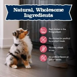 Blue Buffalo Baby Blue Small Breed Healthy Growth Formula Natural Chicken & Oatmeal Rice Recipe Puppy Dry Food, 4-lb Bag 14 Blue Buffalo Baby Blue Small Breed Healthy Growth Formula Natural Chicken & Oatmeal Rice Recipe Puppy Dry Food, 4-lb Bag -Blue Buffalo 354134 PT5. AC SS1800 V1646088416