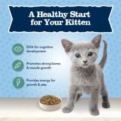 Blue Buffalo Baby Blue Healthy Growth Formula Grain-Free High Protein Chicken & Pea Recipe Kitten Dry Food 11 Blue Buffalo Baby Blue Healthy Growth Formula Grain-Free High Protein Chicken & Pea Recipe Kitten Dry Food -Blue Buffalo 354158 PT3. AC SS1800 V1641339702