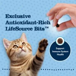 Blue Buffalo Baby Blue Healthy Growth Formula Grain-Free High Protein Chicken & Pea Recipe Kitten Dry Food 14 Blue Buffalo Baby Blue Healthy Growth Formula Grain-Free High Protein Chicken & Pea Recipe Kitten Dry Food -Blue Buffalo 354158 PT6. AC SS1800 V1641338239