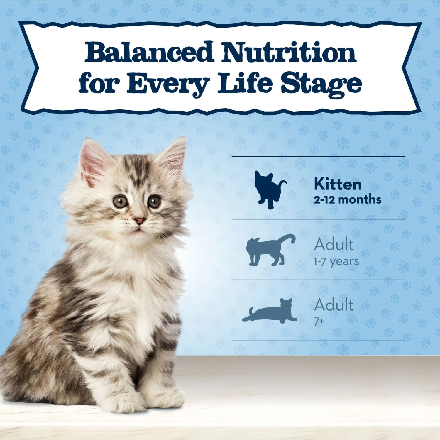 Blue Buffalo Baby Blue Healthy Growth Formula Grain-Free High Protein Chicken & Pea Recipe Kitten Dry Food 8 Blue Buffalo Baby Blue Healthy Growth Formula Grain-Free High Protein Chicken & Pea Recipe Kitten Dry Food - Image 8