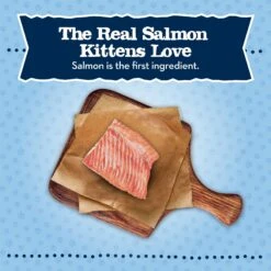 Blue Buffalo Baby Blue Savory Salmon Kitten Treats, 2-oz Bag -Blue Buffalo 354174 PT2. AC SS1800 V1691673775
