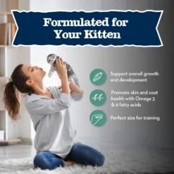 Blue Buffalo Baby Blue Savory Salmon Kitten Treats, 2-oz Bag -Blue Buffalo 354174 PT5. AC SS1800 V1691673833