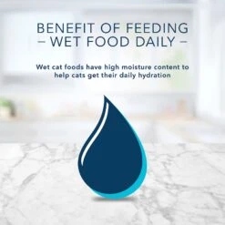 Blue Buffalo Tastefuls Spoonless Singles Salmon Entrée Pate Adult Cat Food, 2.6-oz Cup, Case Of 24 -Blue Buffalo 354413 PT8. AC SS1800 V1642009003