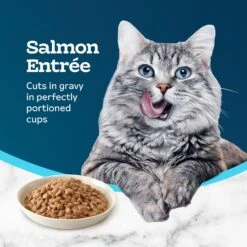 Blue Buffalo Tastefuls Savory Singles Salmon Entrée Cuts In Gravy Adult Cat Food, 2.6-oz Cup, Case Of 24 -Blue Buffalo 354423 PT3. AC SS1800 V1642015292
