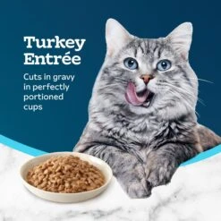 Blue Buffalo Tastefuls Savory Singles Turkey Entrée Cuts In Gravy Adult Cat Food, 2.6-oz Cup, Case Of 24 -Blue Buffalo 354425 PT3. AC SS1800 V1642015040
