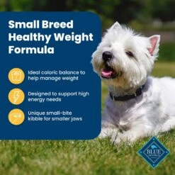 Blue Buffalo Life Protection Formula Small Breed Healthy Weight Adult Chicken & Brown Rice Recipe Dry Dog Food -Blue Buffalo 361629 PT3. AC SS1800 V1704319835