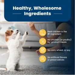 Blue Buffalo Life Protection Formula Small Breed Healthy Weight Adult Chicken & Brown Rice Recipe Dry Dog Food -Blue Buffalo 361629 PT5. AC SS1800 V1704319892