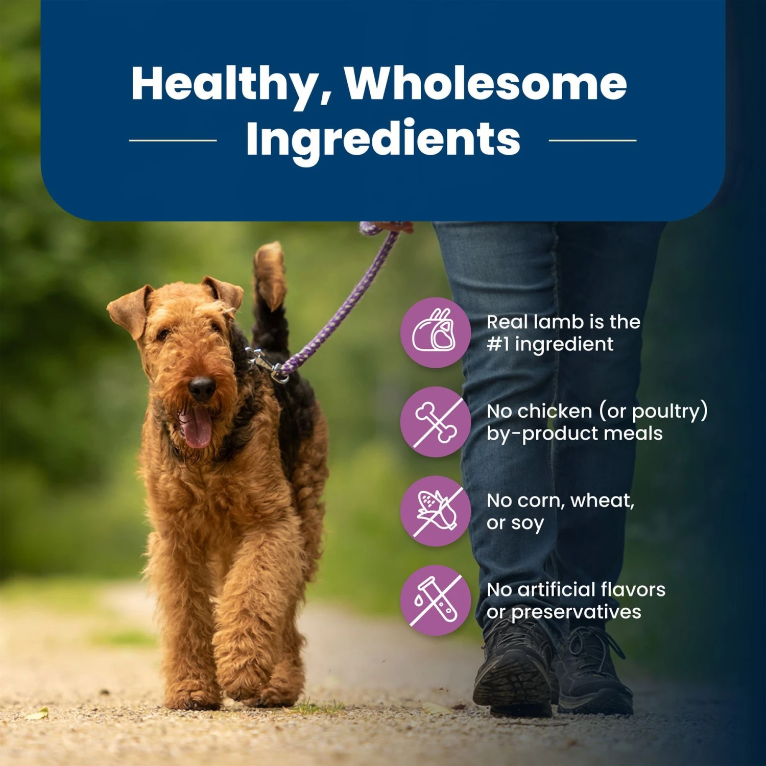 Blue Buffalo Life Protection Formula Large Breed Adult Lamb & Brown Rice Recipe Dry Dog Food 6 Blue Buffalo Life Protection Formula Large Breed Adult Lamb & Brown Rice Recipe Dry Dog Food - Image 6