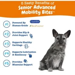 Zesty Paws Advanced Mobility Bites Chicken Flavored Soft Chews Glucosamine Hip & Joint Supplement For Senior Dogs & Blue Buffalo Life Protection Formula Senior Chicken & Brown Rice Recipe Dry Dog Food -Blue Buffalo 365440 PT8. AC SS1800 V1703799102