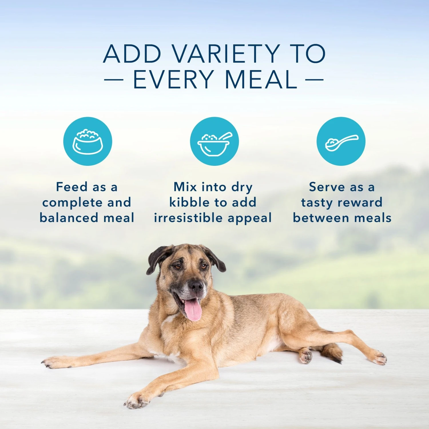 Zesty Paws Advanced Mobility Bites Chicken Flavored Soft Chews Glucosamine Hip & Joint Supplement For Senior Dogs & Blue Buffalo Homestyle Recipe Senior Chicken Dinner With Garden Vegetables Canned Dog Food 5 Zesty Paws Advanced Mobility Bites Chicken Flavored Soft Chews Glucosamine Hip & Joint Supplement For Senior Dogs & Blue Buffalo Homestyle Recipe Senior Chicken Dinner With Garden Vegetables Canned Dog Food - Image 5