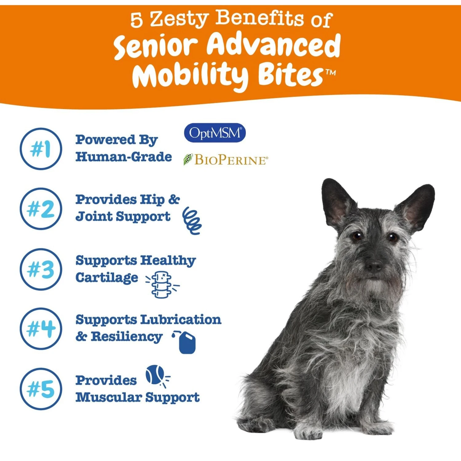 Zesty Paws Advanced Mobility Bites Chicken Flavored Soft Chews Glucosamine Hip & Joint Supplement For Senior Dogs & Blue Buffalo Homestyle Recipe Senior Chicken Dinner With Garden Vegetables Canned Dog Food 9 Zesty Paws Advanced Mobility Bites Chicken Flavored Soft Chews Glucosamine Hip & Joint Supplement For Senior Dogs & Blue Buffalo Homestyle Recipe Senior Chicken Dinner With Garden Vegetables Canned Dog Food - Image 9