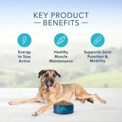 NaturVet Senior Wellness Hip & Joint Advanced Glucosamine, Chondroitin & MSM Plus Omegas Dog Supplement & Blue Buffalo Life Protection Formula Senior Chicken & Brown Rice Recipe Dry Dog Food -Blue Buffalo 365447 PT8. AC SS1800 V1644021984