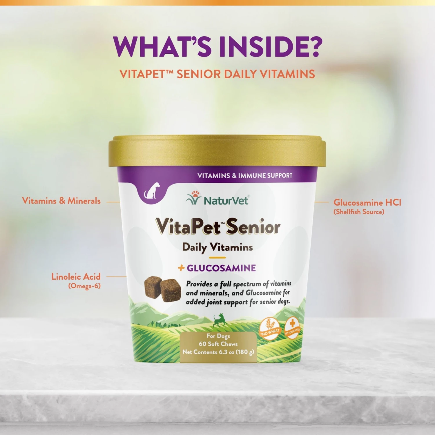 NaturVet VitaPet Senior Daily Vitamins Plus Glucosamine Dog Supplement & Blue Buffalo Life Protection Formula Senior Chicken & Brown Rice Recipe Dry Dog Food 9 NaturVet VitaPet Senior Daily Vitamins Plus Glucosamine Dog Supplement & Blue Buffalo Life Protection Formula Senior Chicken & Brown Rice Recipe Dry Dog Food - Image 9