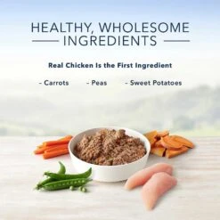 PetHonesty Duck Flavored Soft Chews Multivitamin For Senior Dogs & Blue Buffalo Homestyle Recipe Senior Chicken Dinner With Garden Vegetables Canned Dog Food -Blue Buffalo 365452 PT8. AC SS1800 V1644016011
