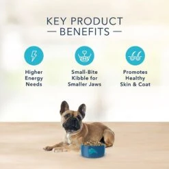 Blue Buffalo Basics Skin & Stomach Care Grain-Free Formula Lamb & Potato Recipe Large Breed Adult Dry Dog Food & Blue Buffalo Basics Skin & Stomach Care Grain-Free Formula Lamb & Potato Recipe Small Breed Adult Dry Dog Food -Blue Buffalo 367536 PT8. AC SS1800 V1644465455