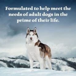 Blue Buffalo Wilderness Salmon & Chicken Grill Grain-Free Canned Dog Food 11 Blue Buffalo Wilderness Salmon & Chicken Grill Grain-Free Canned Dog Food -Blue Buffalo 46806 PT3. AC SS1800 V1646780786