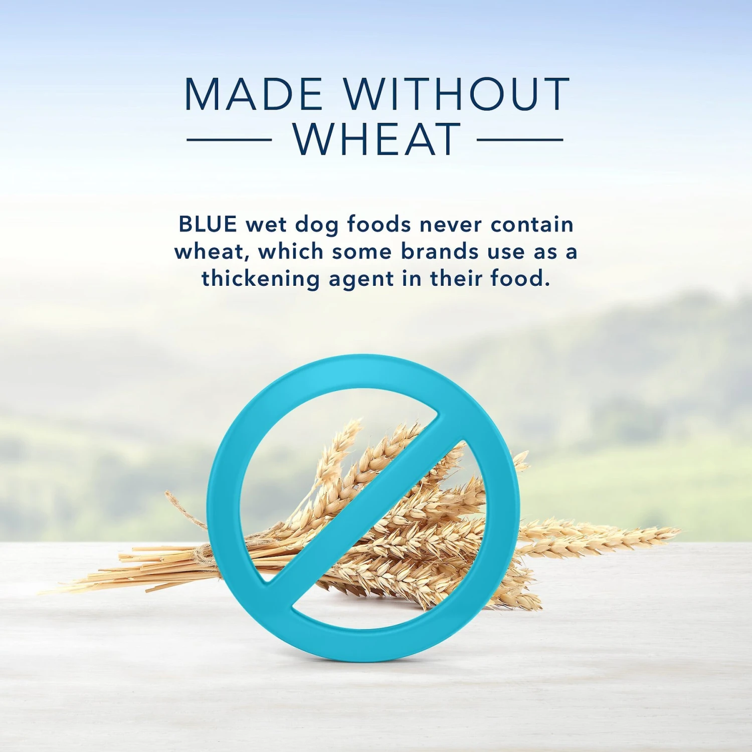 Blue Buffalo Homestyle Recipe Large Breed Chicken Dinner With Garden Vegetables Canned Dog Food 6 Blue Buffalo Homestyle Recipe Large Breed Chicken Dinner With Garden Vegetables Canned Dog Food - Image 6