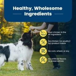 Blue Buffalo Life Protection Formula Healthy Weight Adult Chicken & Brown Rice Recipe Dry Dog Food -Blue Buffalo 46839 PT5. AC SS1800 V1704319648