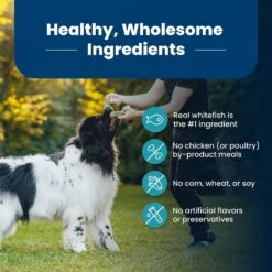 Blue Buffalo Life Protection Formula Adult Fish & Brown Rice Recipe Dry Dog Food -Blue Buffalo 46858 PT5. AC SS1800 V1704319591