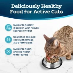 Blue Buffalo Tastefuls Active Natural Chicken Adult Dry Cat Food -Blue Buffalo 46866 PT3. AC SS1800 V1694186620