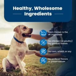 Blue Buffalo Life Protection Formula Senior Chicken & Brown Rice Recipe Dry Dog Food -Blue Buffalo 46880 PT5. AC SS1800 V1636149105